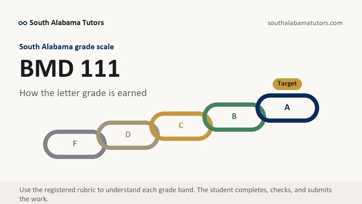 BMD 111 grading scale at South Alabama, how the work is graded, from South Alabama Tutors
