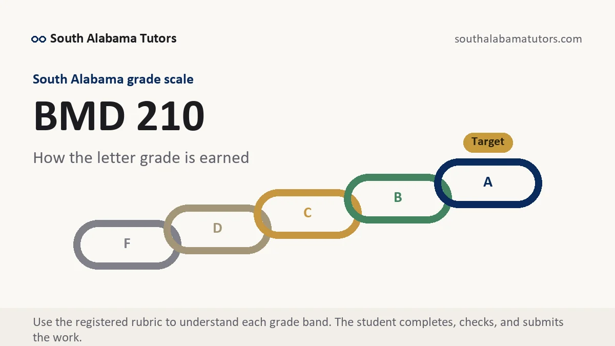 BMD 210 grading scale at South Alabama, how the work is graded, from South Alabama Tutors