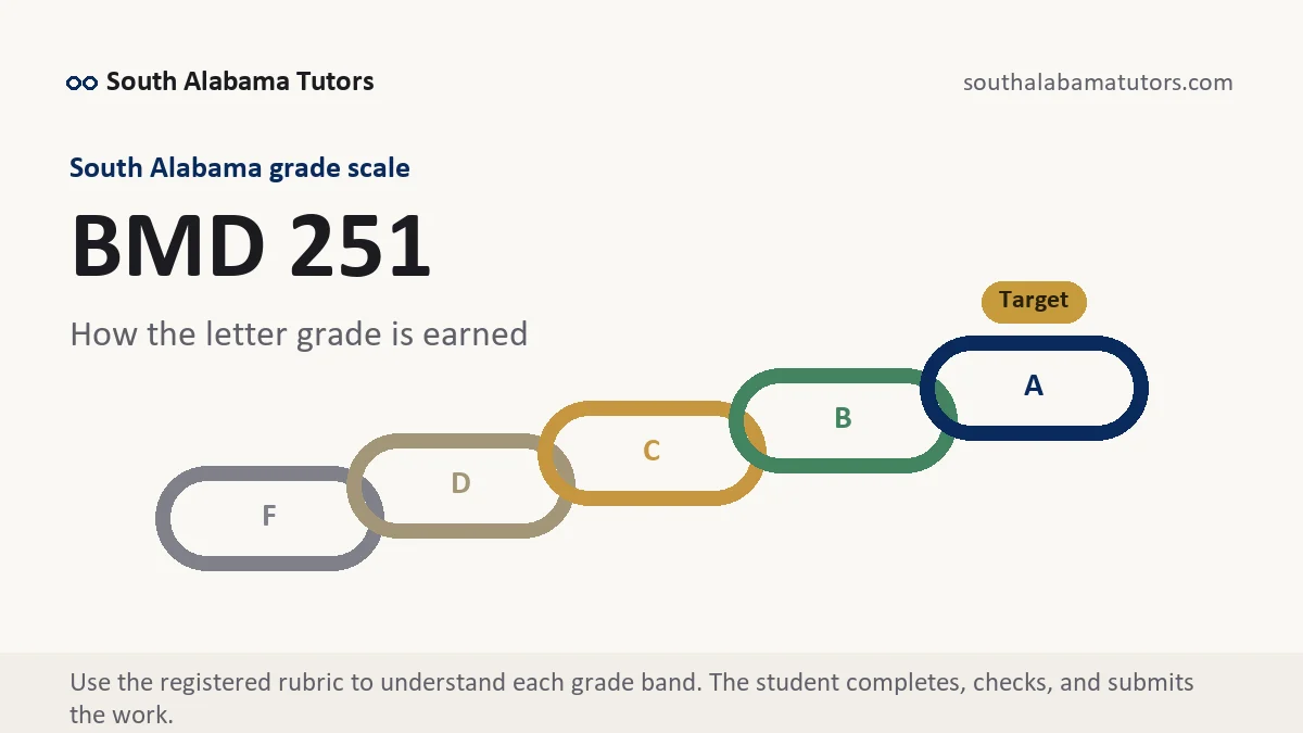 BMD 251 grading scale at South Alabama, how the work is graded, from South Alabama Tutors